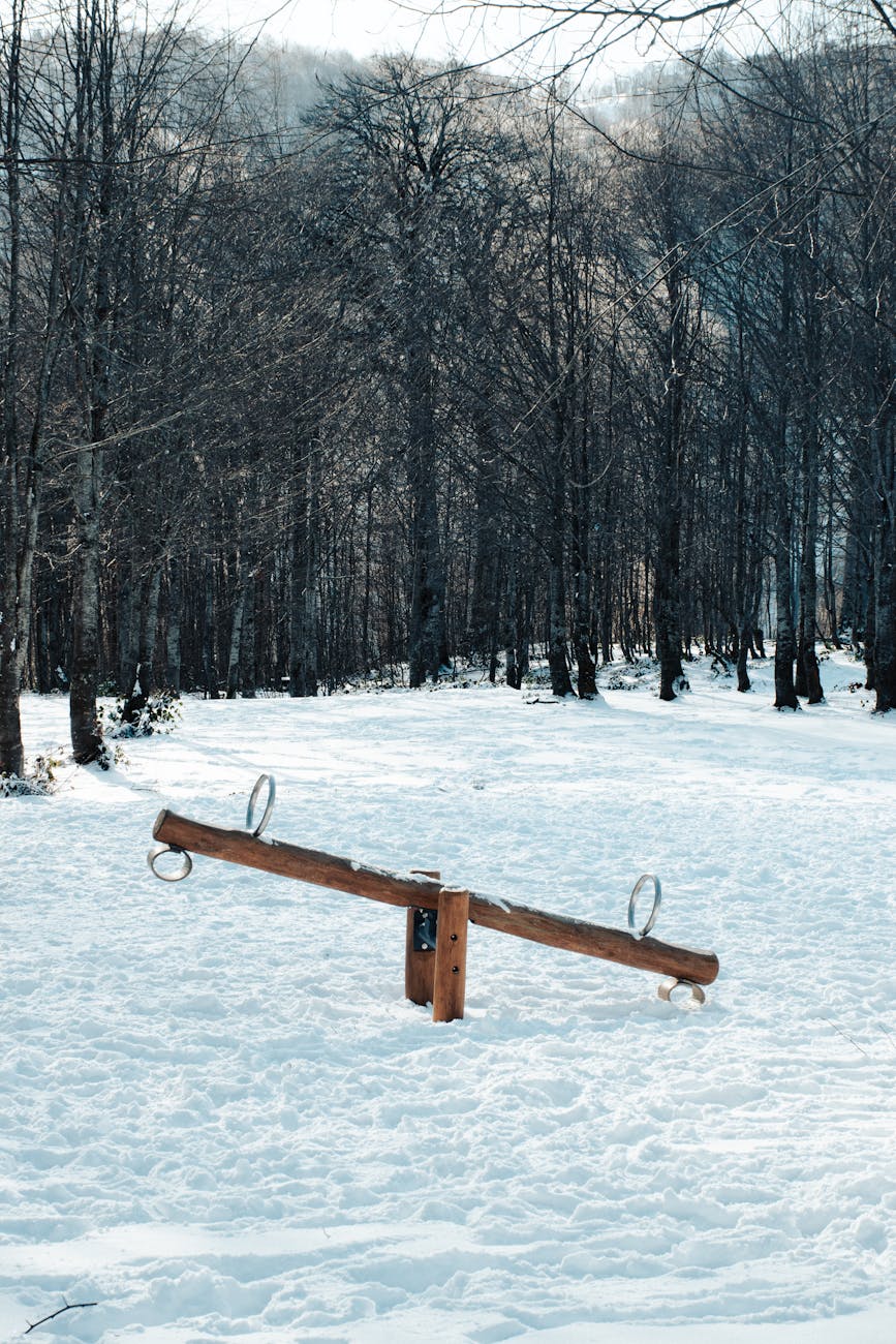 see saw in snowy forest setting in winter
